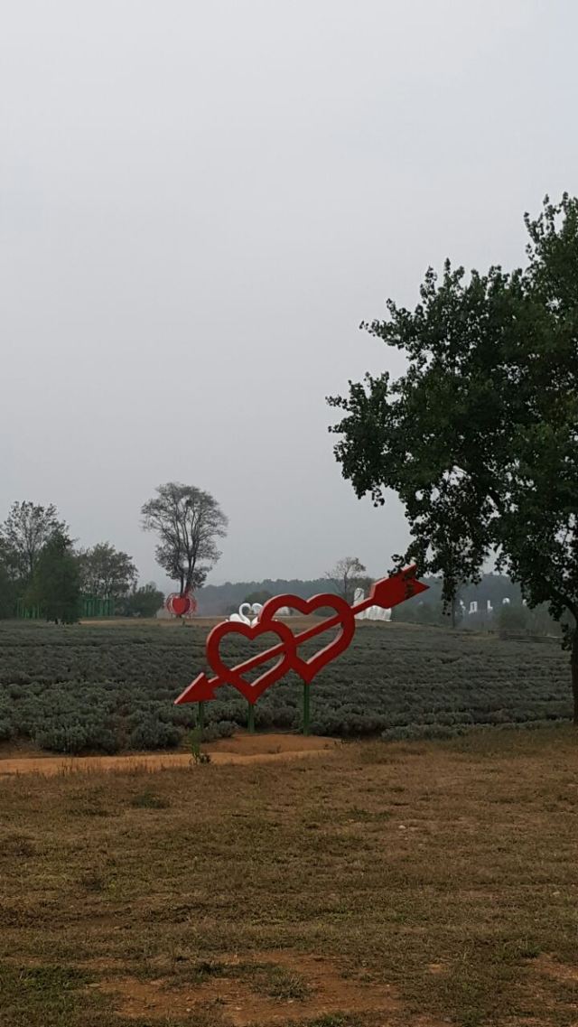 청송령 삼림공원