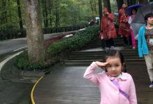 Bonomia美食图片