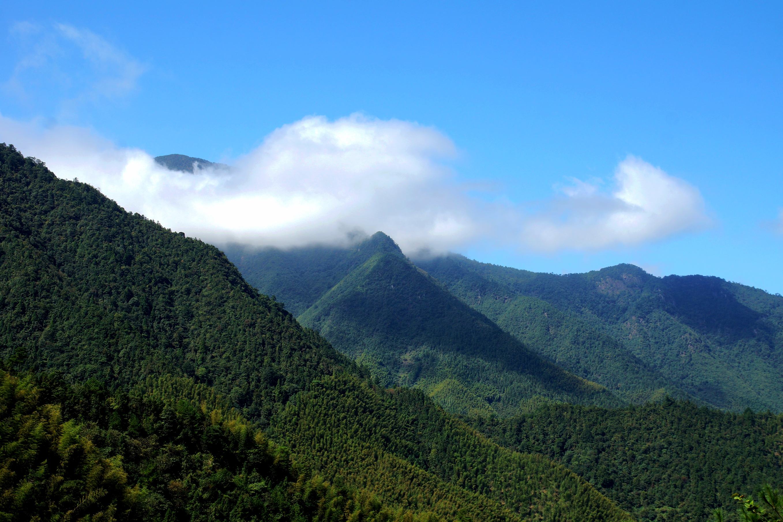 炉岙村