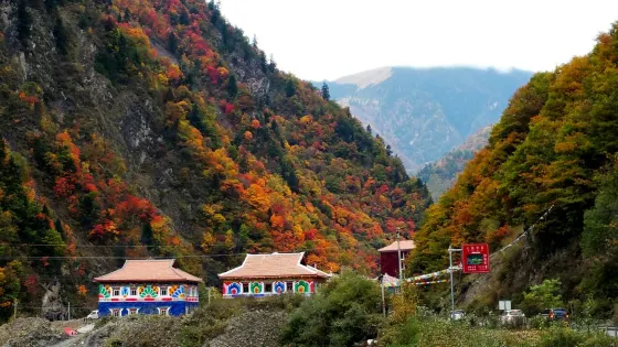 黑水縣七彩甲足特色藏家樓