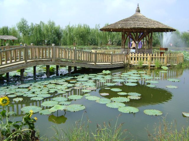稻夢空間