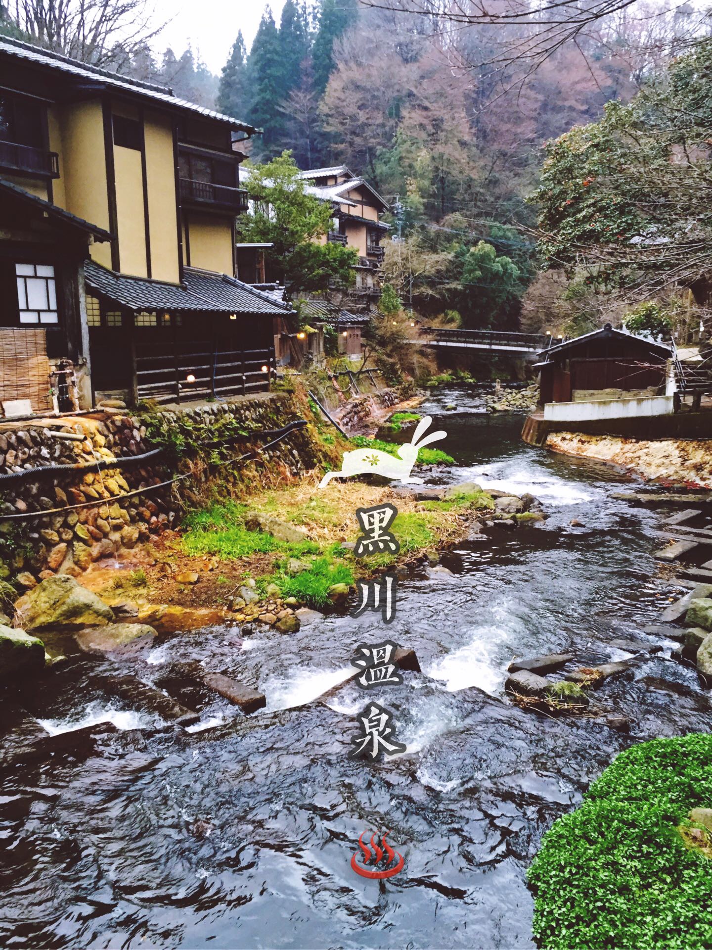 横断九州，寻樱探秘(五)-黑川温泉乡(连载中)3/30