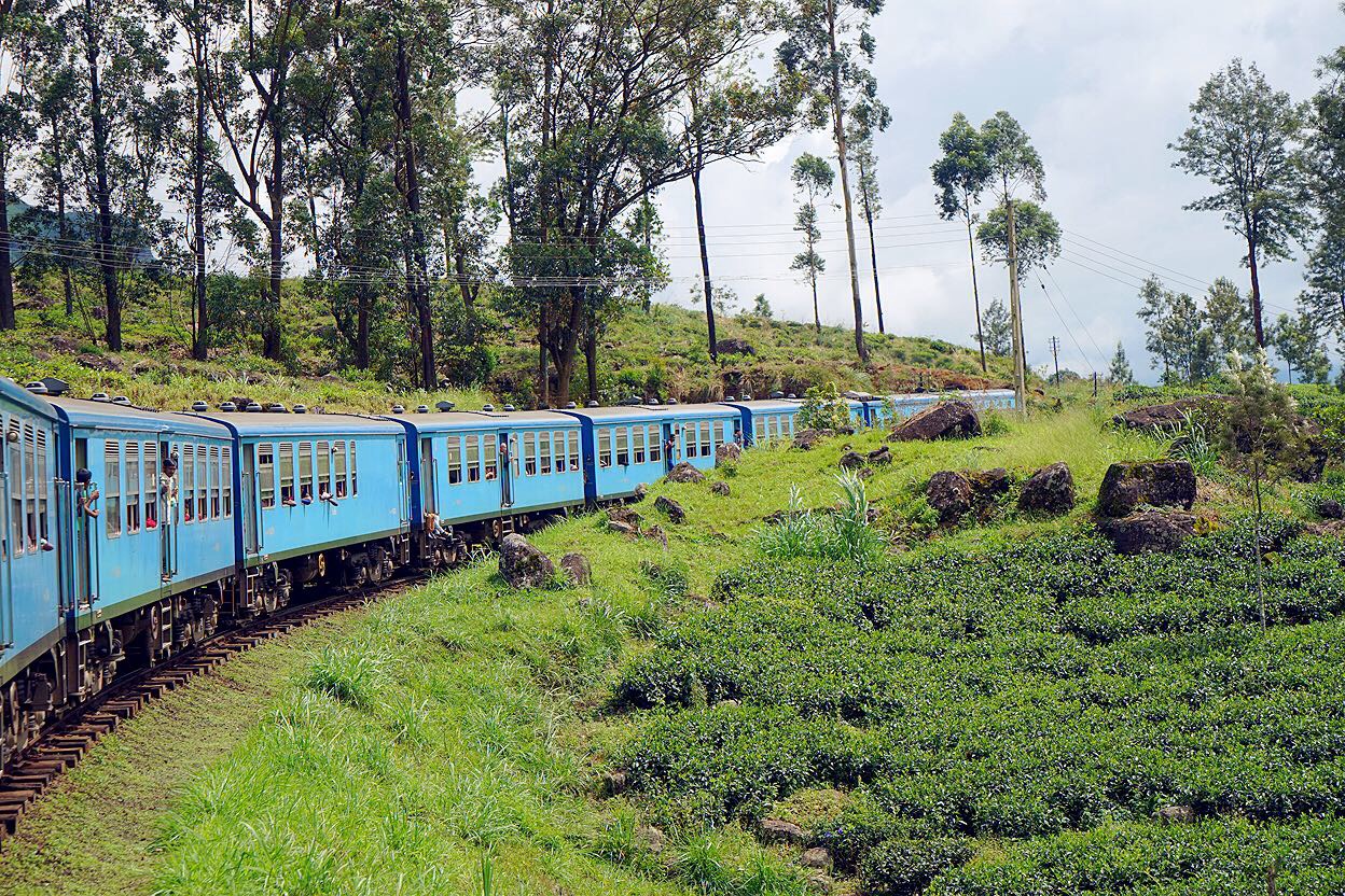 斯里兰卡，不可错过的高山茶园火车