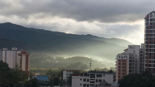 Wuzhishan Tropical Rainforest