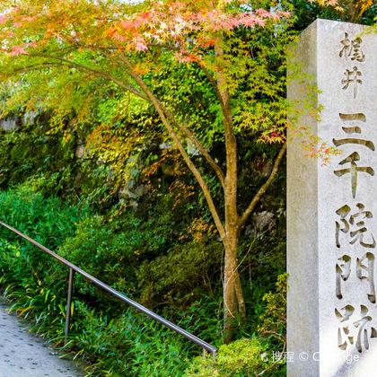 日本京都三千院+岚山一日游