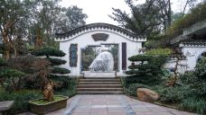 南山植物园-重庆-doris圈圈