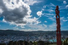 维多利亚山-惠灵顿-doris圈圈