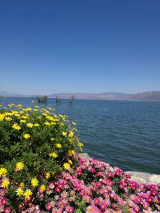 马久邑村-大理市-爱一切美好