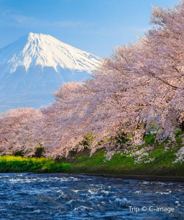 2D • 2‑day Tokyo‑Mount Fuji tour with panoramic ropeway‑ hotel accommodation excluded