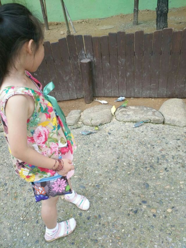 에버랜드