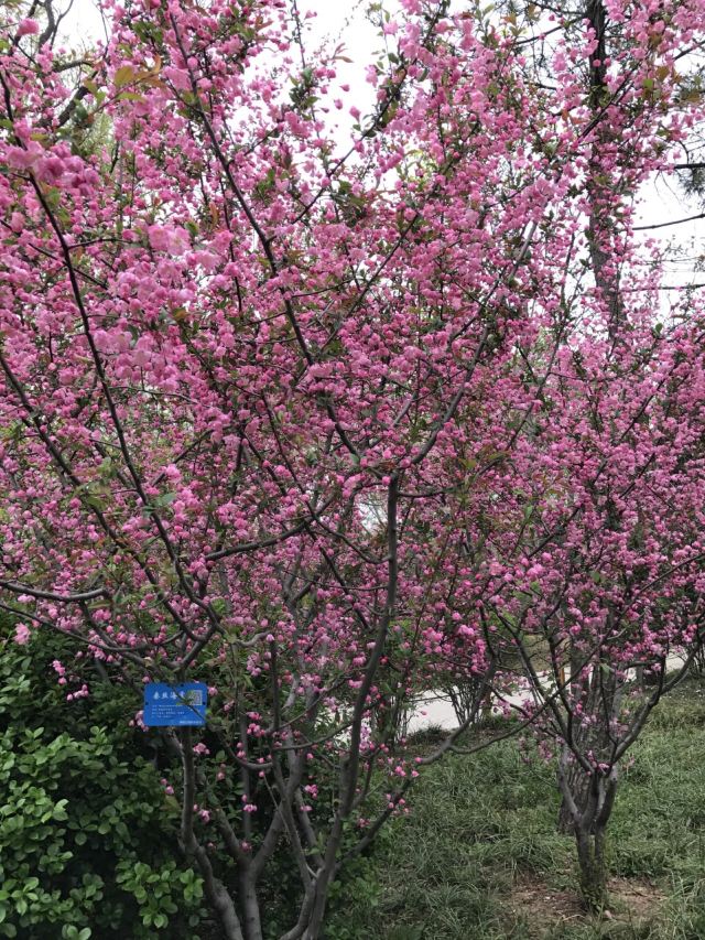 취안청공원