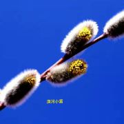 图片 1
