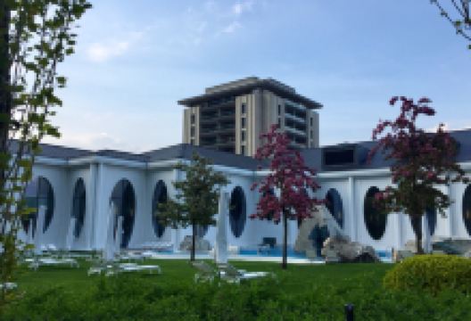 Olives d'Or美食图片