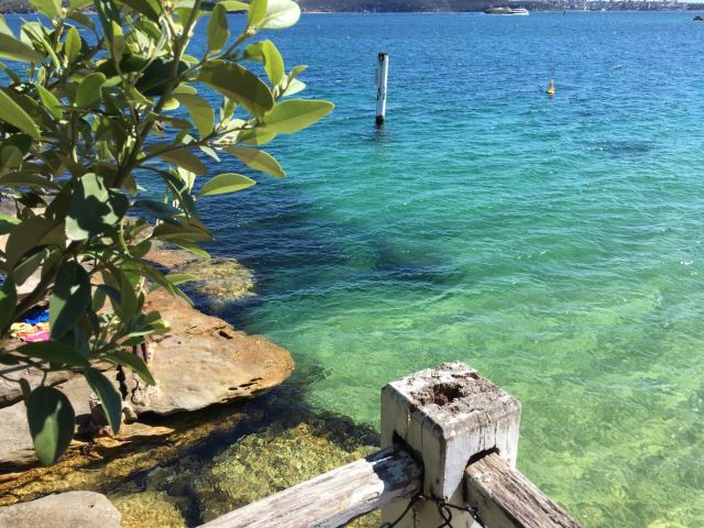 South Head and Watsons Bay Walk