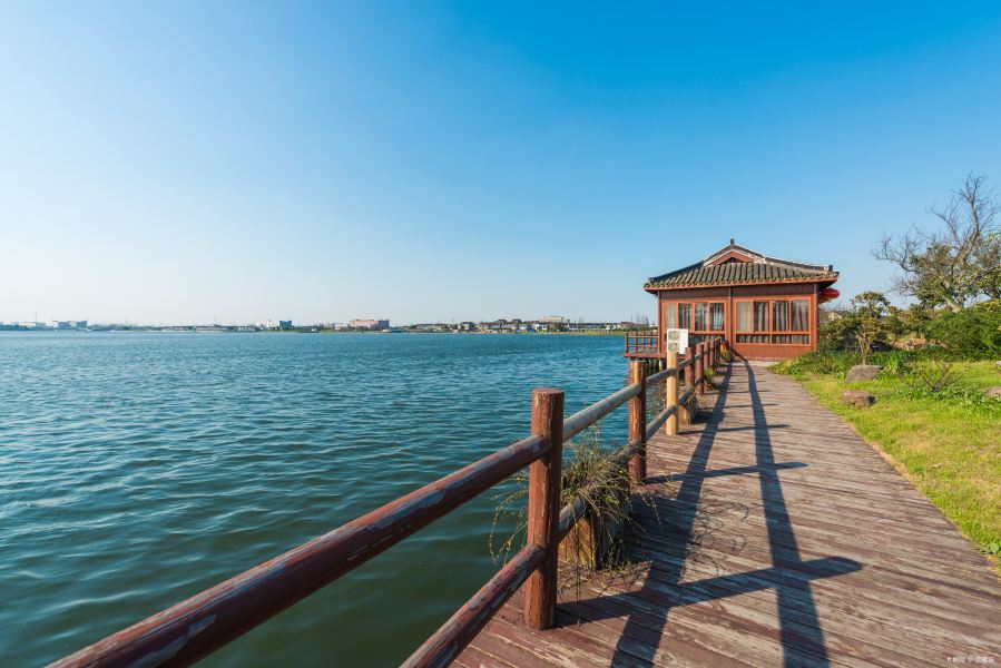 鹅湖玫瑰文化园