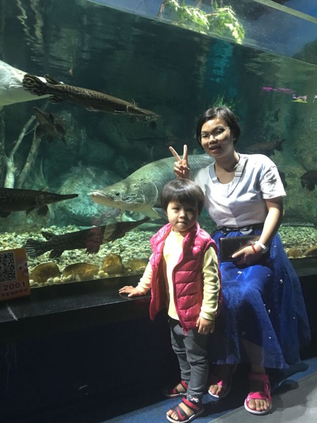 Grandview Aquarium
