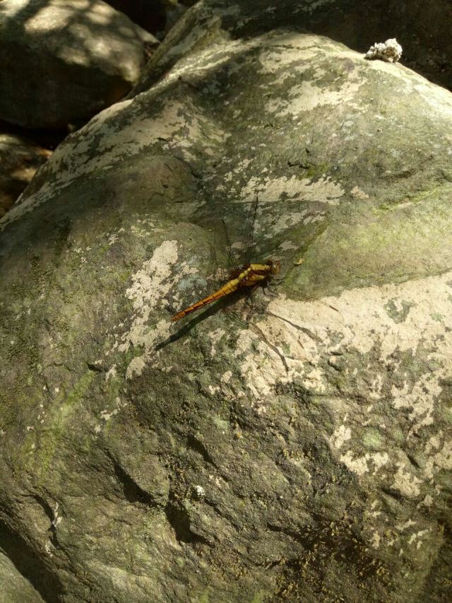 양명산 국립공원