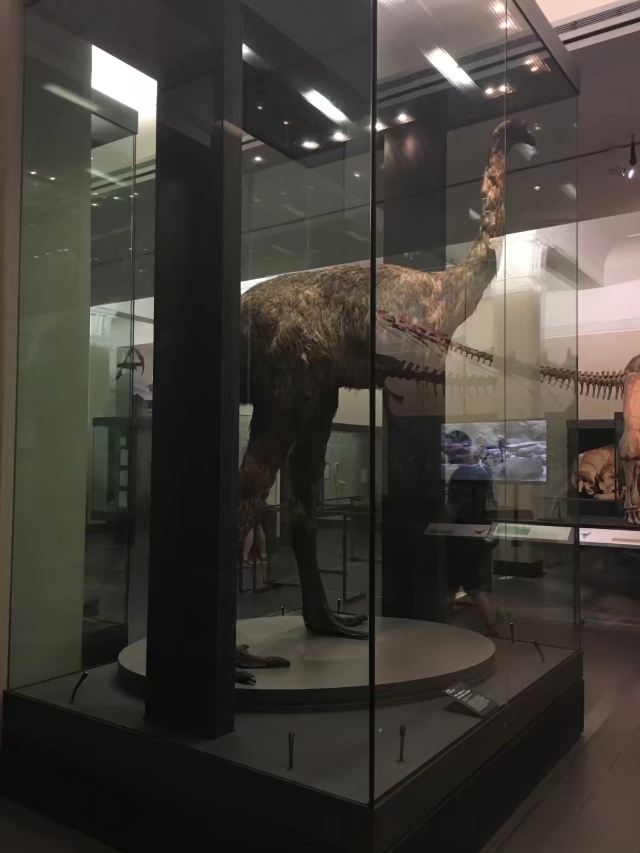 奧克蘭博物館