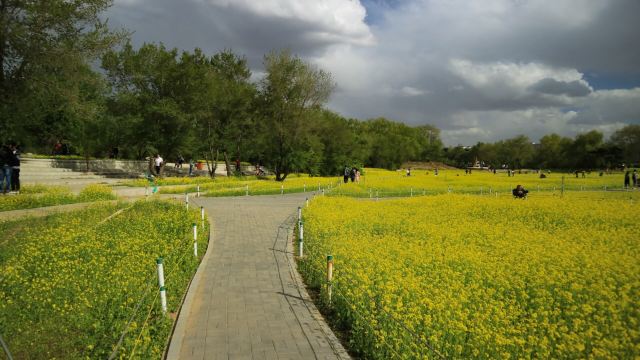 Zhaoling Tomb (Beiling Park)