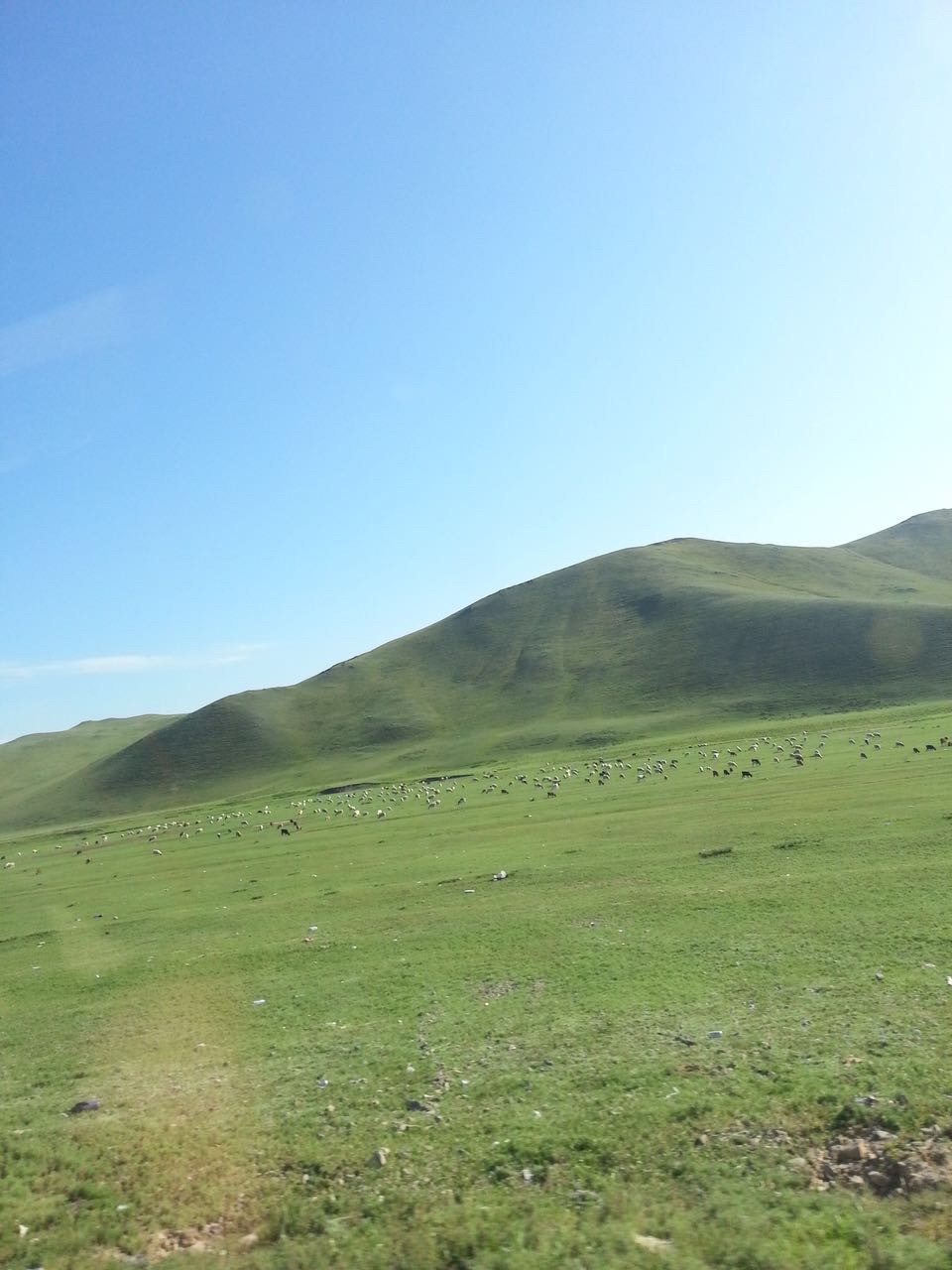 蒙古乔巴山