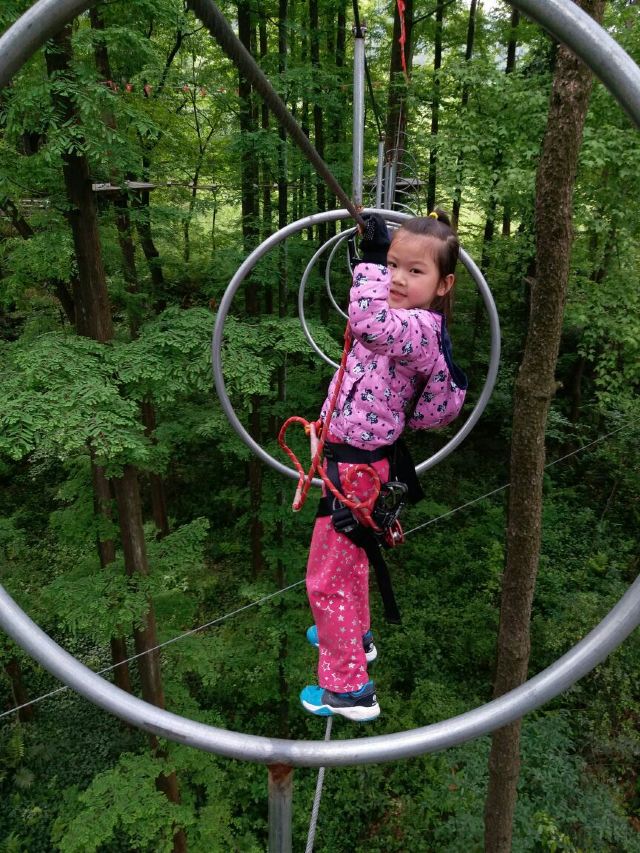 Daqishan Crazy Forest Theme Park