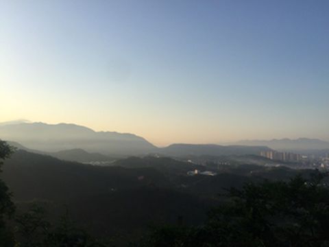 快乐“放羊”人(中篇)