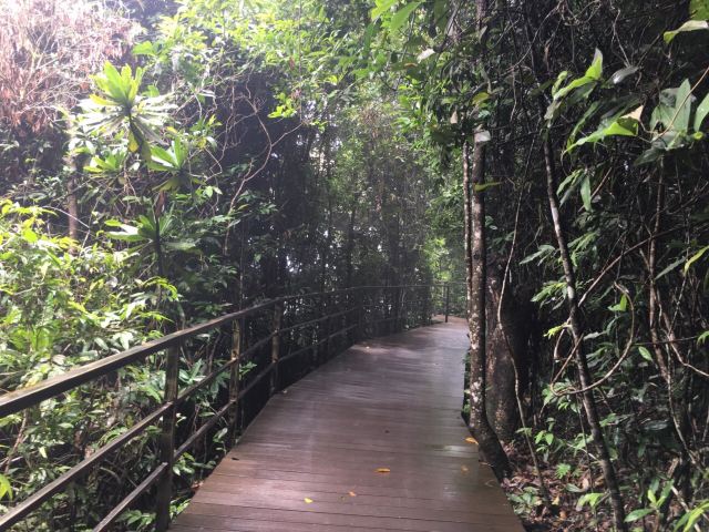Yanoda Rainforest Cultural Tourism Zone