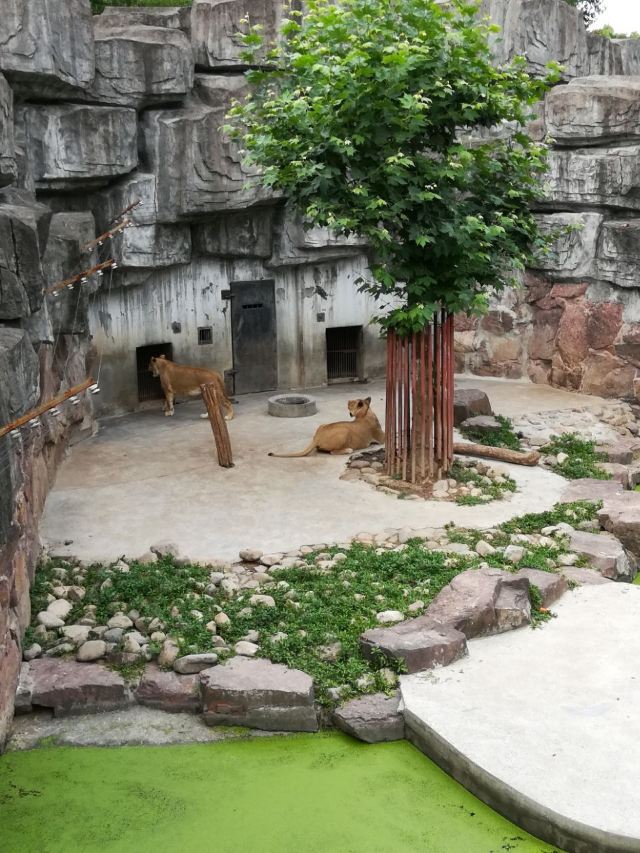 Heping Park