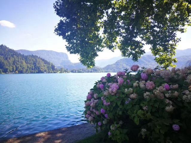 Lake Bled