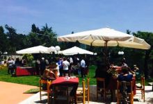 Ristorante Pizzeria Belvedere美食图片