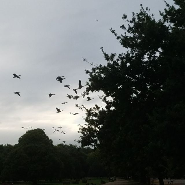 Hyde Park