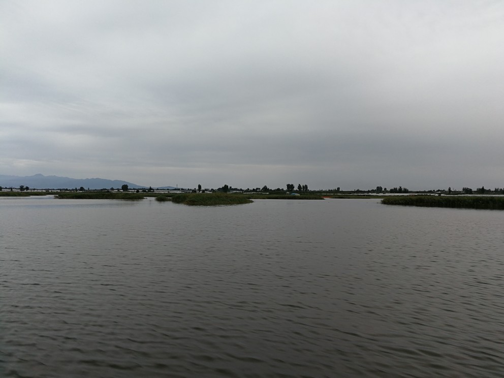 关中明珠，大荔朝邑湖生态湿地保护区。