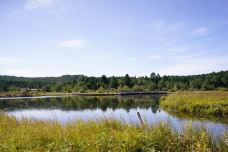 七星湖湿地公园-围场-YoYo_2Q6Q1U3A