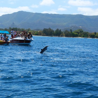毛里求斯快艇追海豚+自然桥+蓝湾玻璃底船浮潜一日游