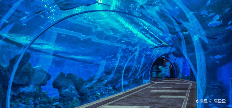 cube oceanarium cube oceanarium