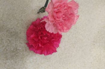 【携程美食林】南充兴蓉米粉附近景点,兴蓉米