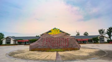 兴化 乌巾荡风景区 (9)