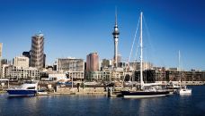 天空塔-奥克兰-doris圈圈