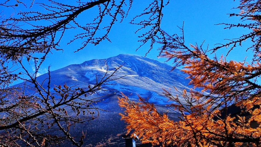 富士山不仅看雪，最美的是瑰丽金秋 富士山——是日本国内的最高峰，海拔3775.63米，被誉为是日本国