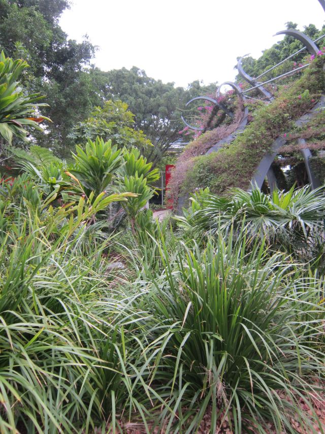 South Bank Parklands