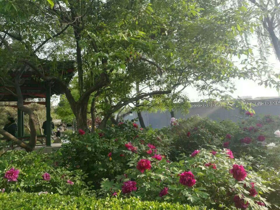 陇瑞国家级自然保护区