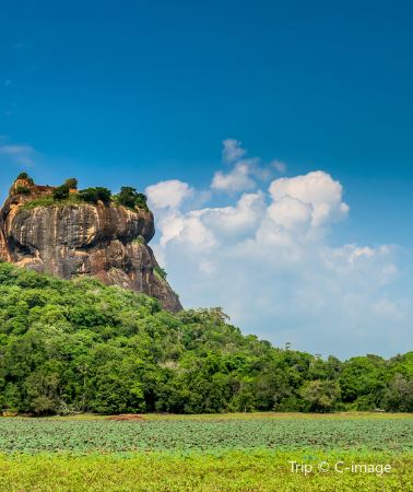 8D7N • 5-diamond hotels throughout + Guaranteed stay at Heritance Kandalama + Yala National Park Safari + Galle Fort + World Heritage Sigiriya Lion Rock + Hill Country Tea Plantation & Coastal Train