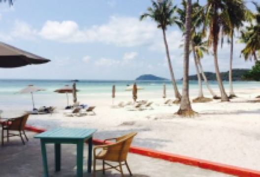Paradiso Restaurant美食图片