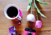 Lomography Cyprus - Three Sitting Birds购物图片