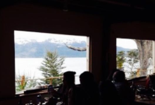 Oveja verde美食图片