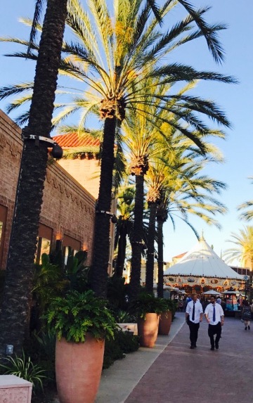 The Cheesecake Factory