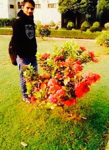 BRD - The Vineyard餐厅图片