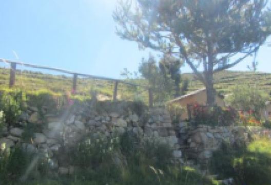 Albergue Restaurante Inca Sama美食图片