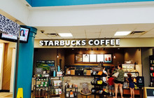 Starbucks餐厅图片