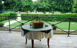 Trattoria della Vigna